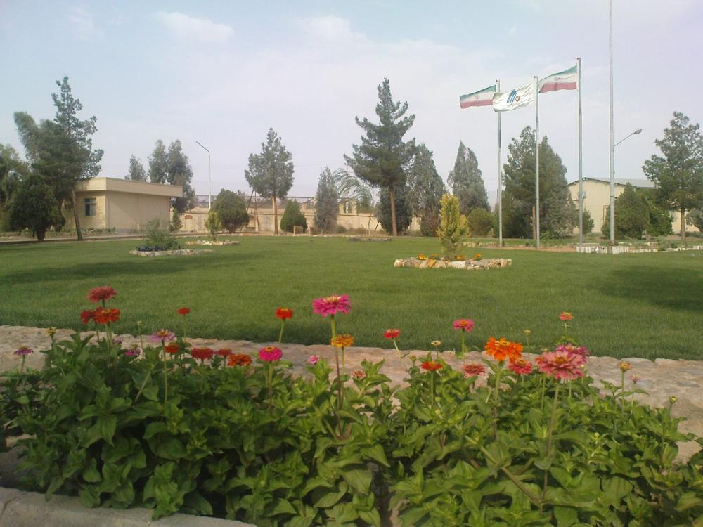 تصویر کوچک